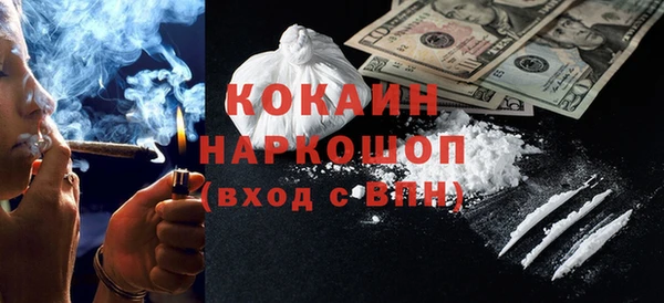 шишки Алексин