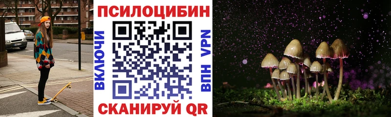 Псилоцибиновые грибы GOLDEN TEACHER  Минусинск 