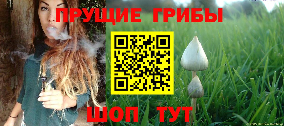 Галлюциногенные грибы Cubensis Минусинск