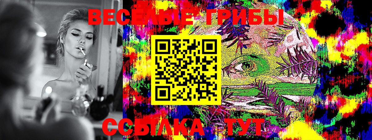 Псилоцибиновые грибы MAGIC MUSHROOMS  Вход с VPN  Минусинск 